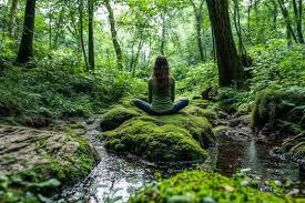 Beyond the Office: The Therapeutic Power of Forest Bathing and “Walk and Talk” Therapy